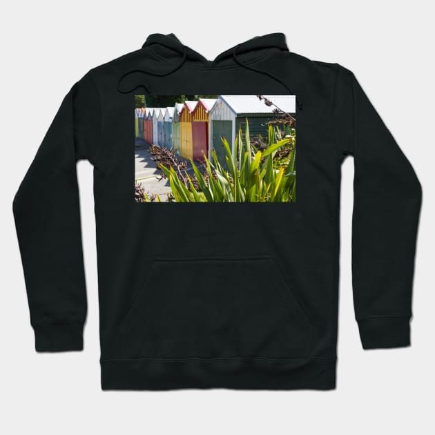 Boat sheds beyond the flax bushes. Hoodie by sma1050